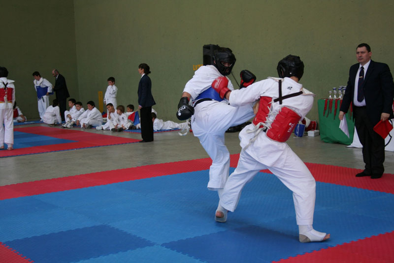 Campeonato Navarro de Kenpo